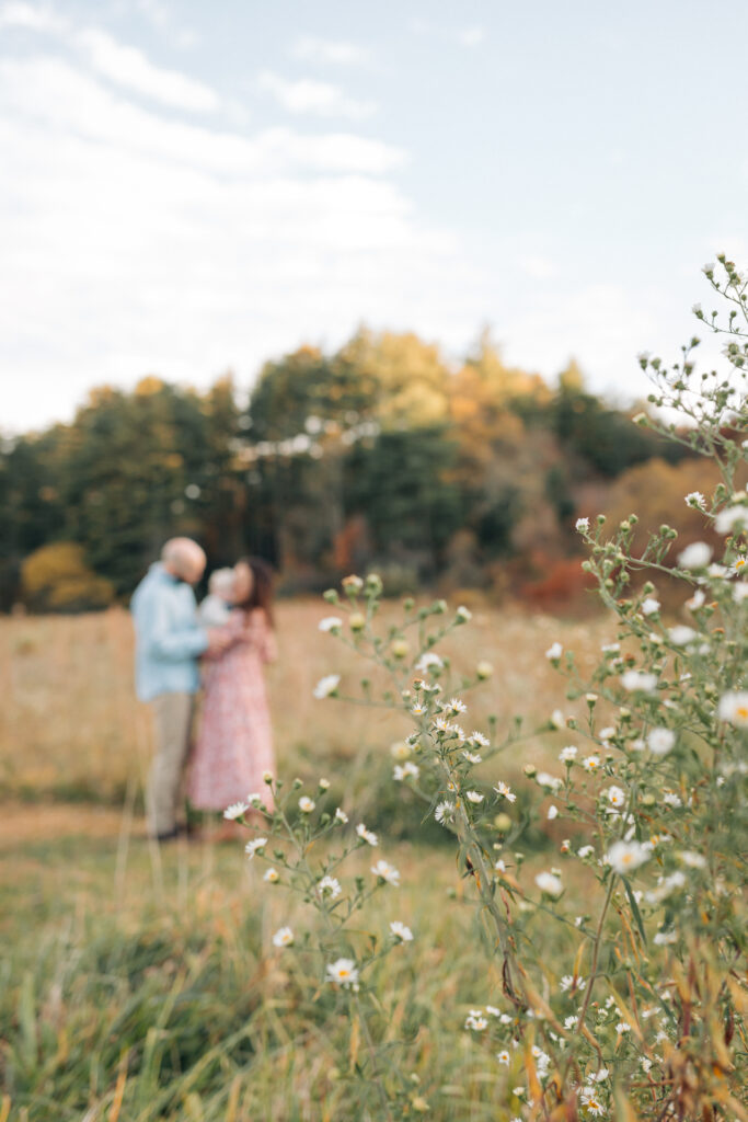 fall family photos in asheville hendersonville nc by family photographer rachel marie photography