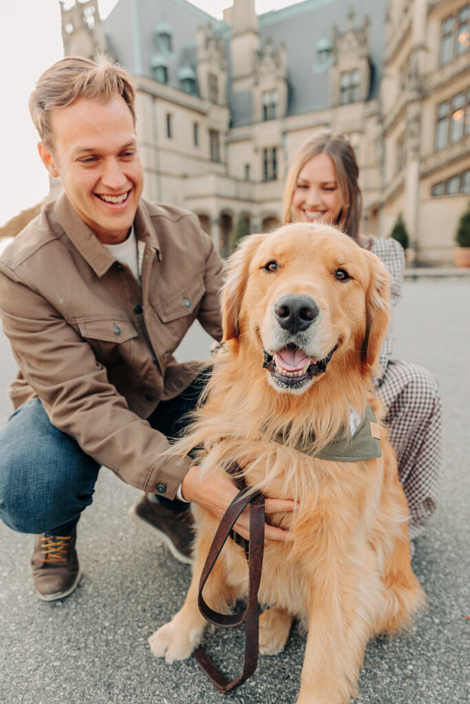 Couples family session with golden retriever dog at the Biltmore Estate at Christmas in Asheville, NC with Rachel Marie Photography