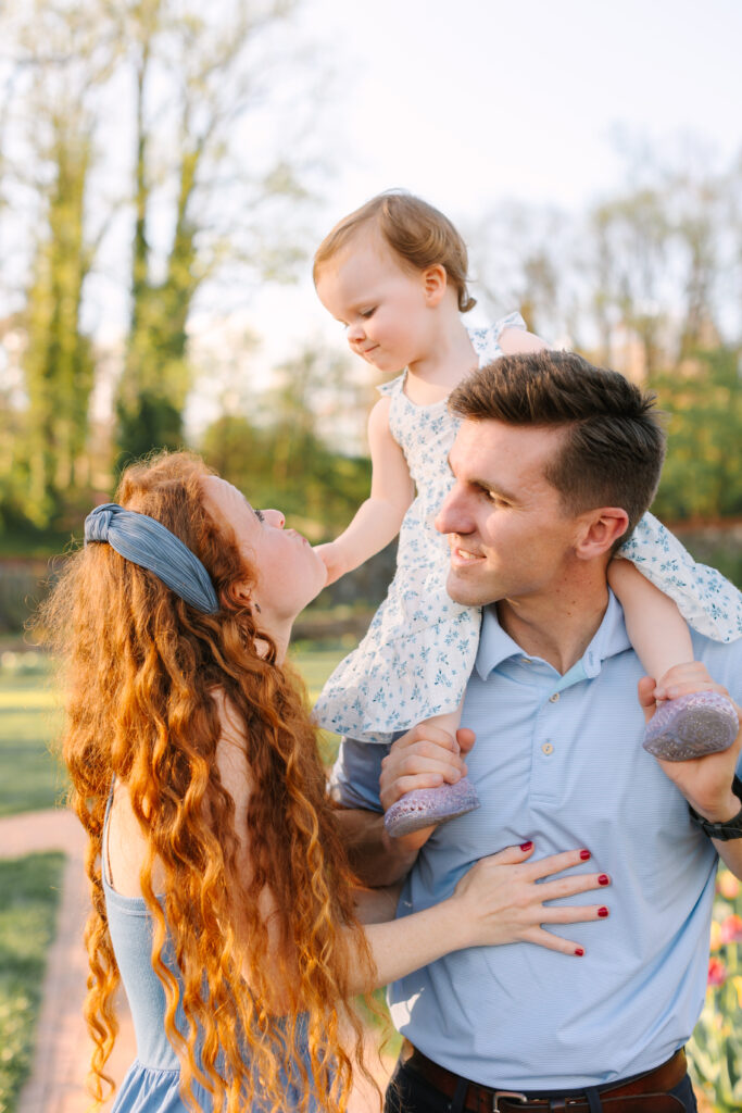 family walks together with toddler daughter surrounded by yellow and red tulips during asheville family photo session at the biltmore estate walled gardens 
