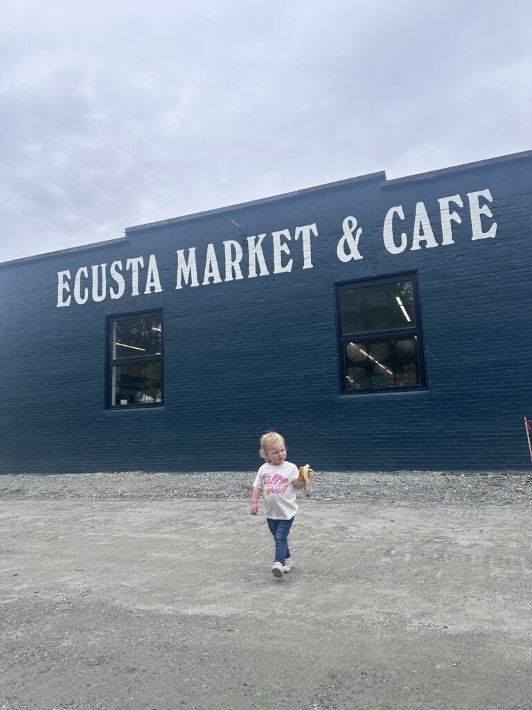 Activities for Toddlers in Hendersonville, NC and Asheville, NC during family vacations in WNC. Visit Ecusta Market and Cafe for coffee, bike trails, and more.