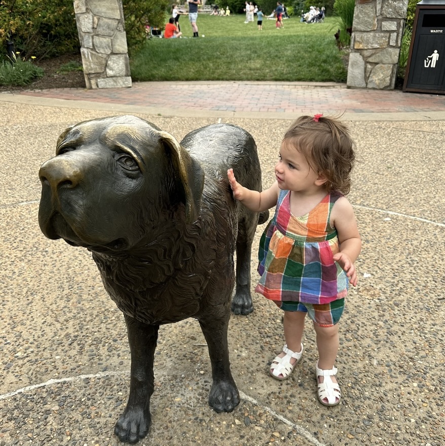 Activities for Toddlers in Hendersonville, NC and Asheville, NC during family vacations in WNC. Visit Antler Hill Village at the Biltmore Estate
