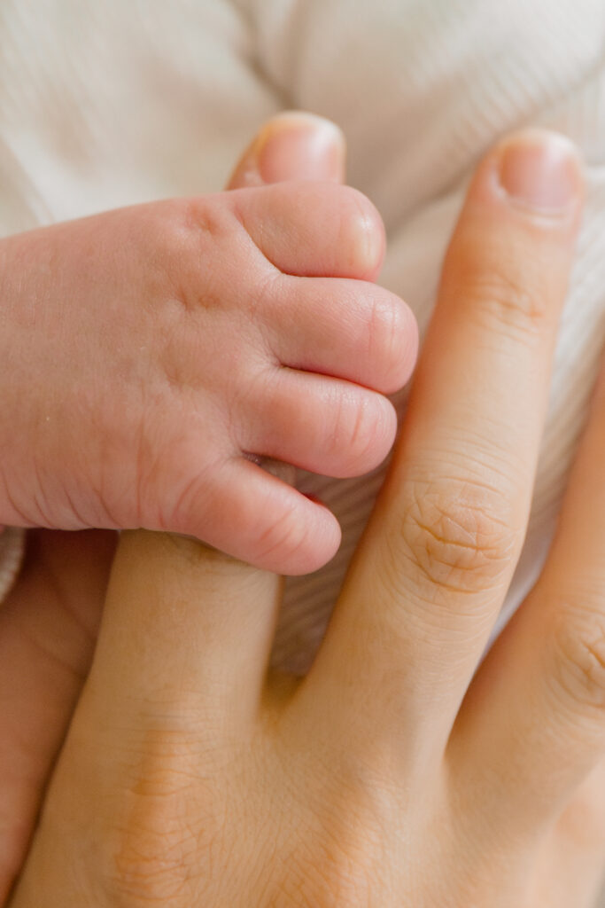 Asheville Newborn Photographer captures a newborn child's hand is wrapped gently around the right index finger of their mother's.