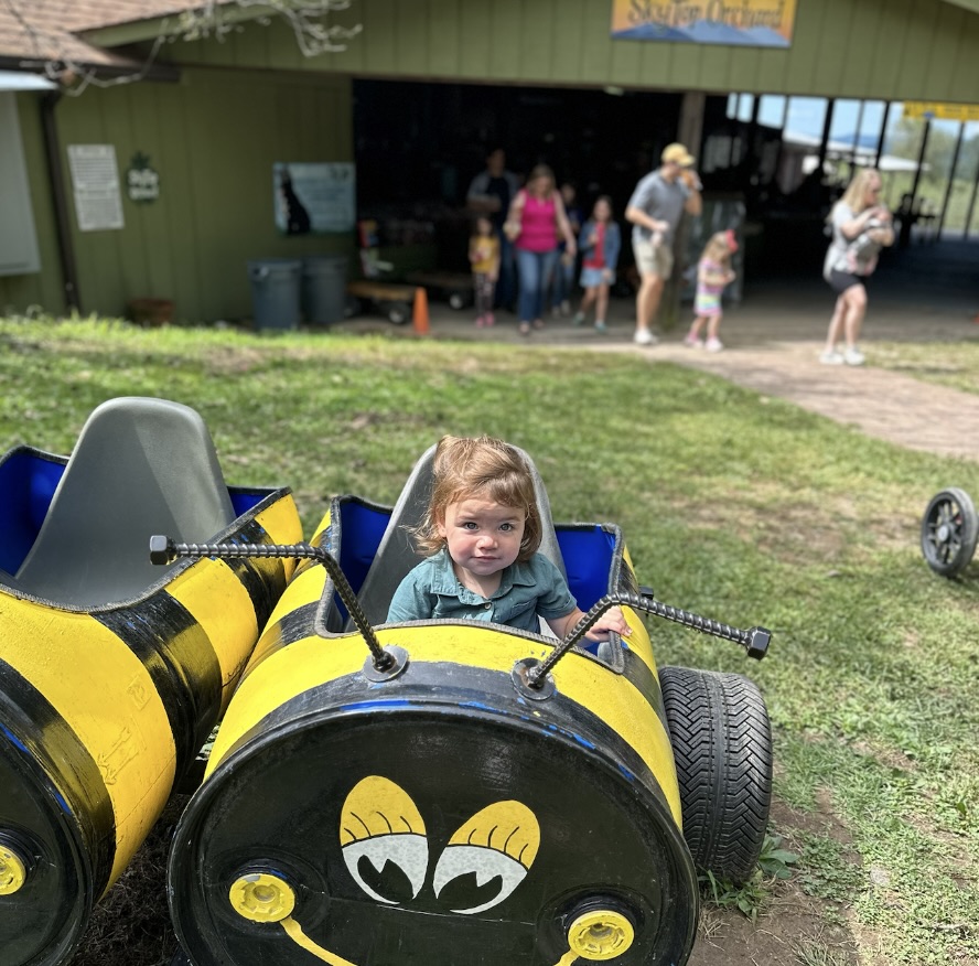 Activities for Toddlers in Hendersonville, NC and Asheville, NC during family vacations in the Fall in WNC. Apple Orchards are all over Hendersonville, NC and they are the best places to get yummy apples, apple slushies, apple cider donuts, and to create fun family memories!