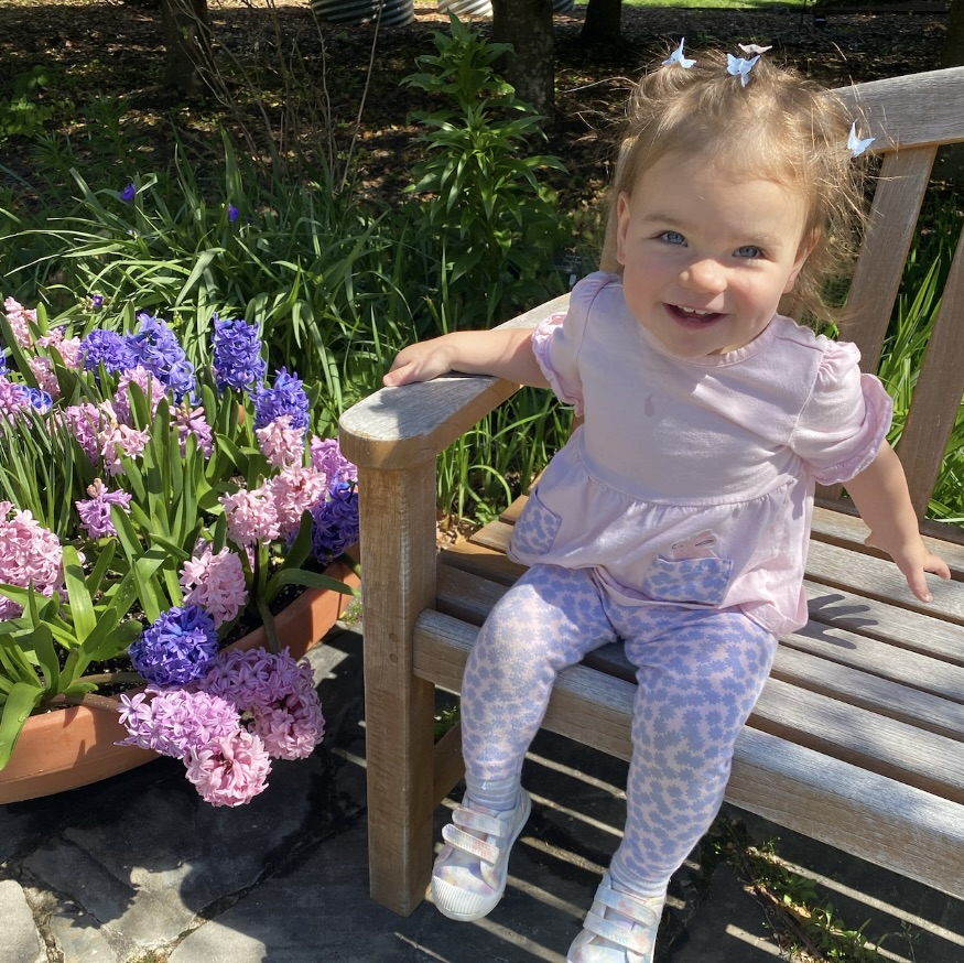 Activities for Toddlers in Hendersonville, NC and Asheville, NC during family vacations in WNC. Visit the NC Arboretum!