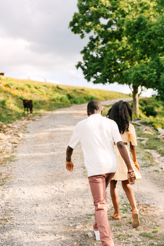 sunset mountain view family adventure photo session at Bear Wallow Mountain in Hendersonville, NC with family with two teenagers