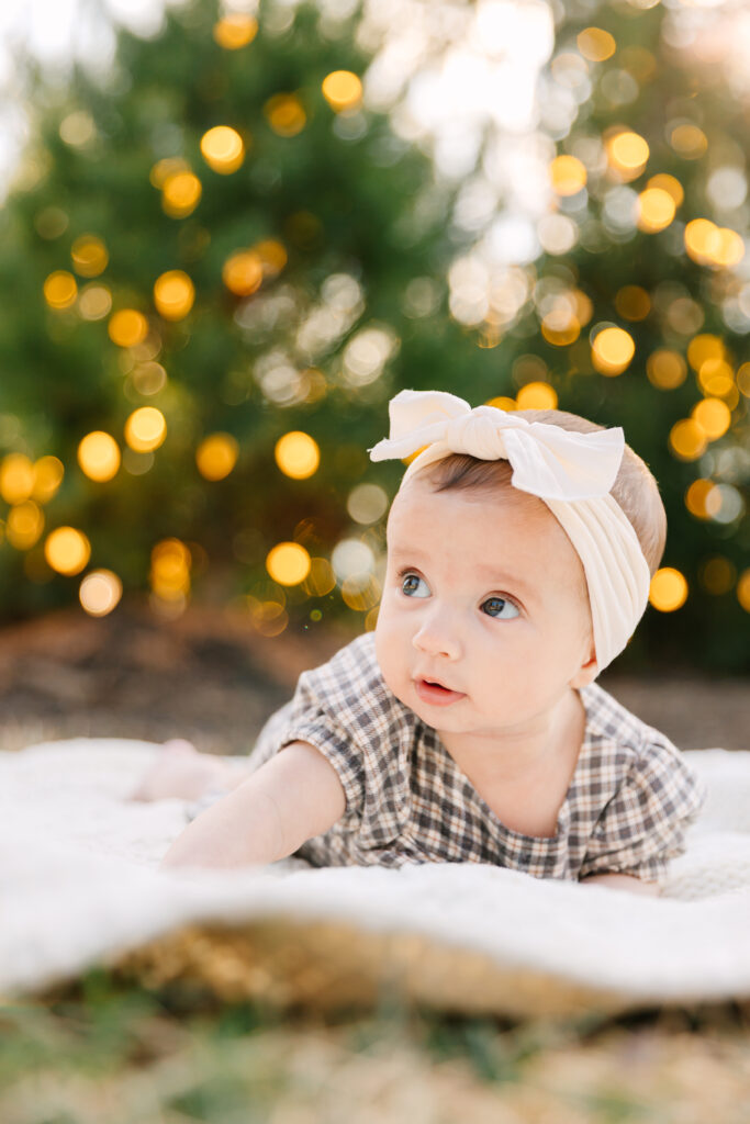 baby on blanket with christmas trees behind her at the Biltmore Estate in Asheville, NC during family photo session with Asheville family photographer