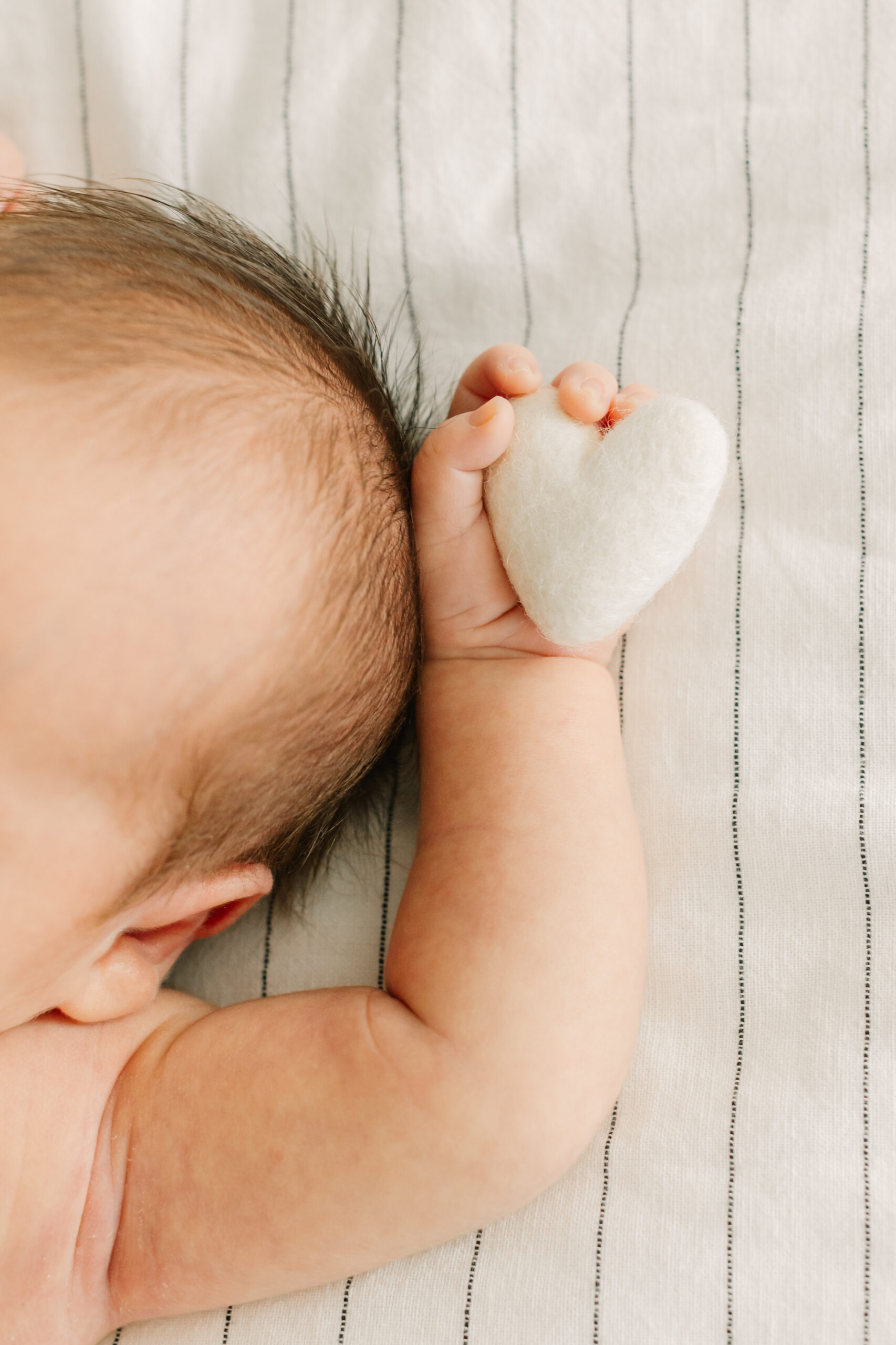 Asheville newborn photographer captures newborn baby boy holding a little heart plush toy