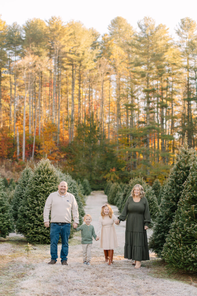 Christmas Tree Farm Photo Session with family of four near Hendersonville, NC with Asheville Family Photographer
