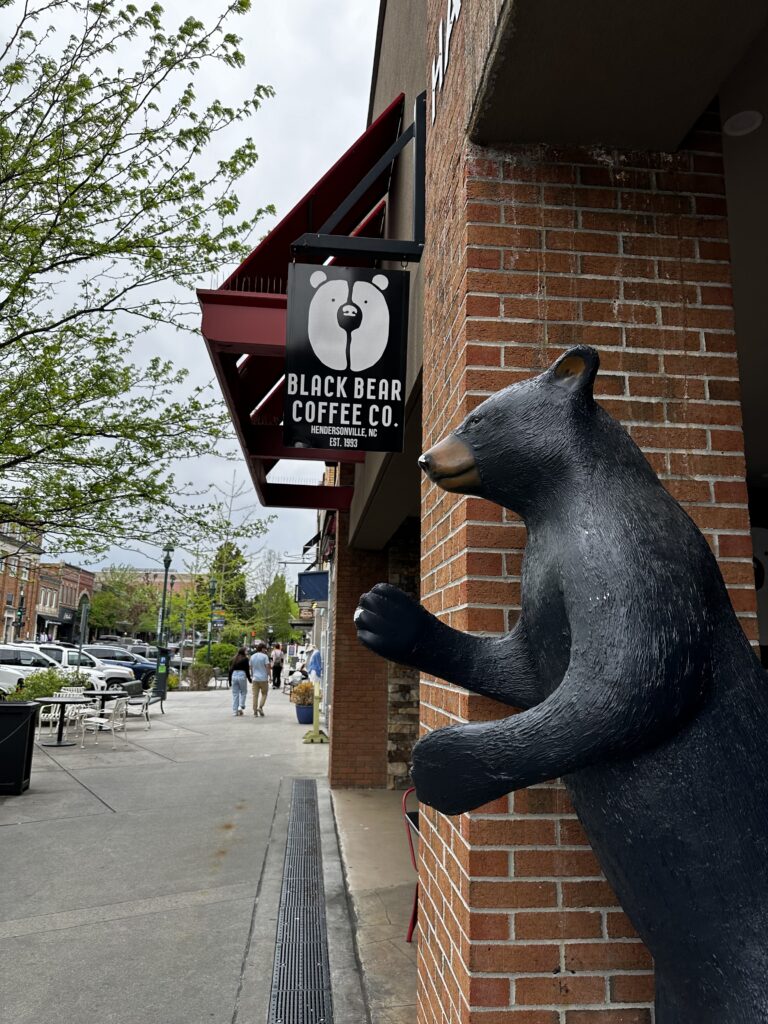 store front of Black Bear Coffee Co in Downtown Hendersonville with black bear statue