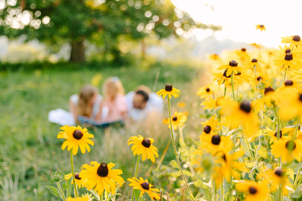 family lays in the grass and reads a book next to a field of wild flowers at the biltmore estate in asheville, nc with asheville family photographer Rachel Marie Photography