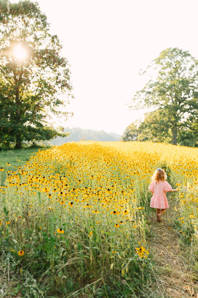 little girl walks through a field of wild flowers at the biltmore estate in asheville, nc with asheville family photographer Rachel Marie Photography